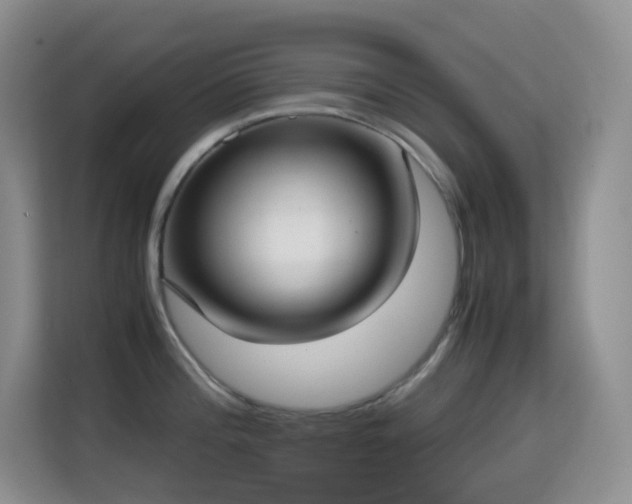 X0000114681196200910211204
