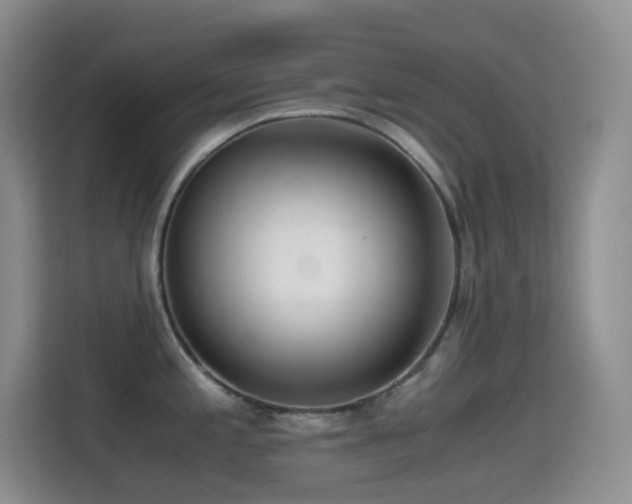 X0000114681197200910211204