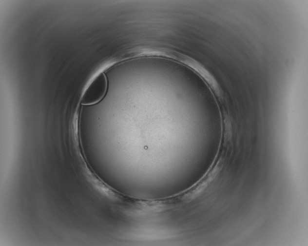 X0000114681198200910211204