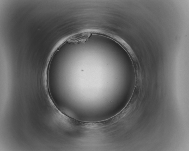 X0000114681199200910211204