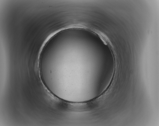X0000114681200200910211204