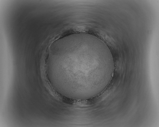 X0000114681201200910211203