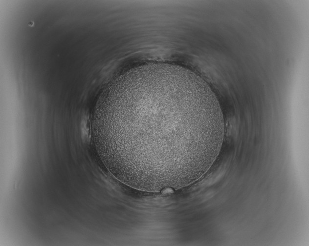 X0000114681202200910211203