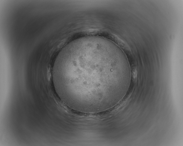 X0000114681204200910211203