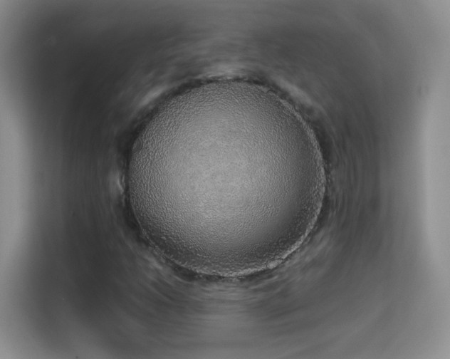 X0000114681206200910211203