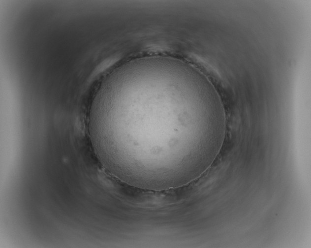 X0000114681207200910211203