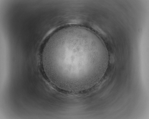 X0000114681208200910211203