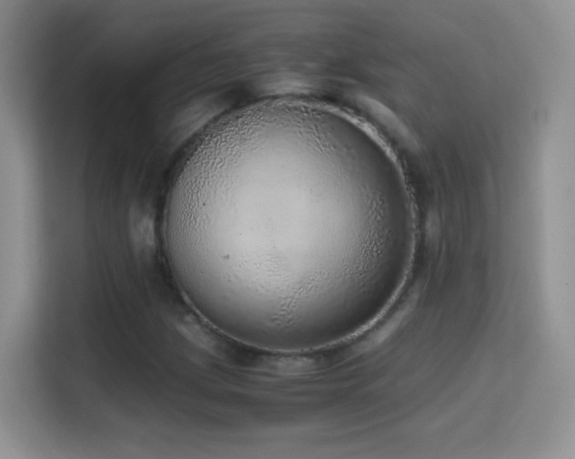 X0000114681209200910211203