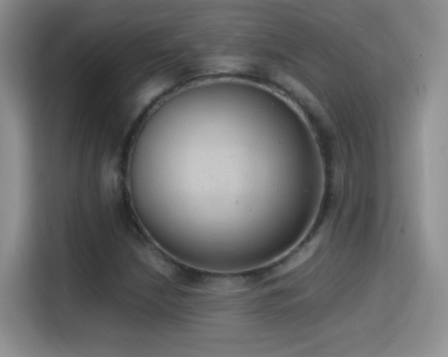 X0000114681210200910211203