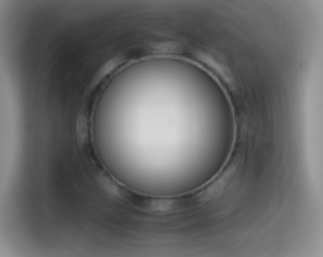 X0000114681211200910211203