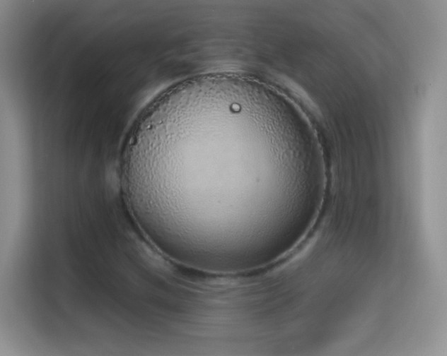 X0000114681212200910211203