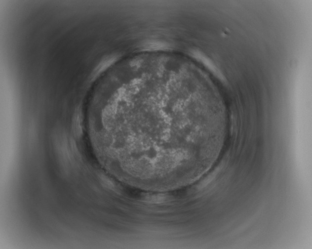 X0000114681213200910211203