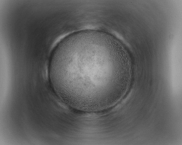 X0000114681214200910211203