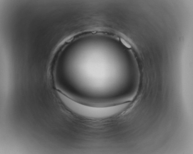 X0000114681215200910211203