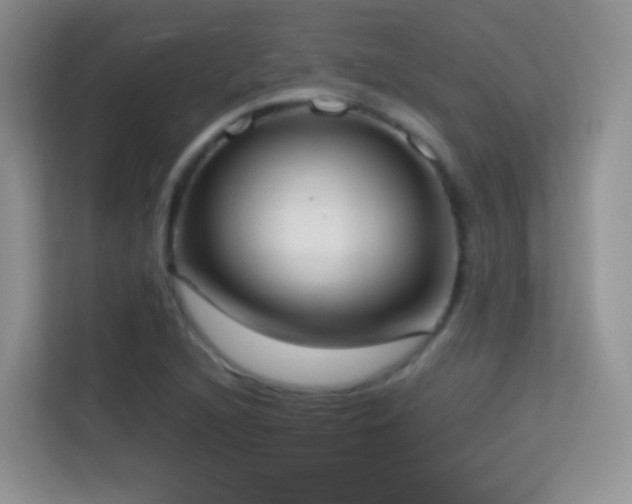 X0000114681216200910211203