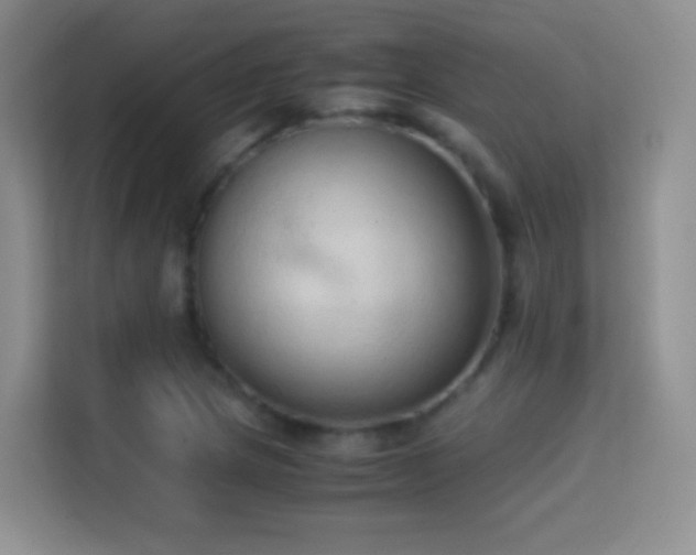 X0000114681217200910211203