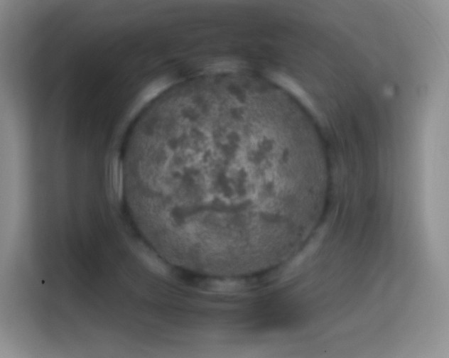 X0000114681219200910211203