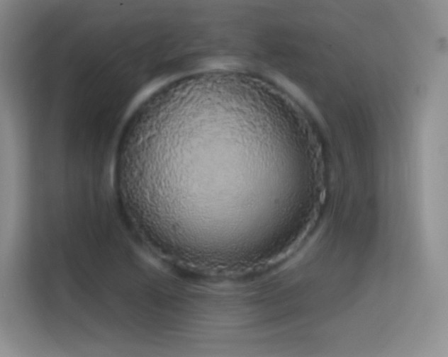 X0000114681222200910211203