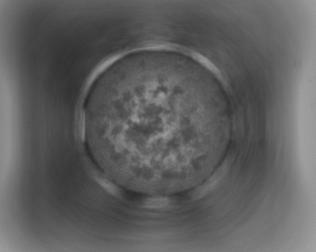 X0000114681223200910211203