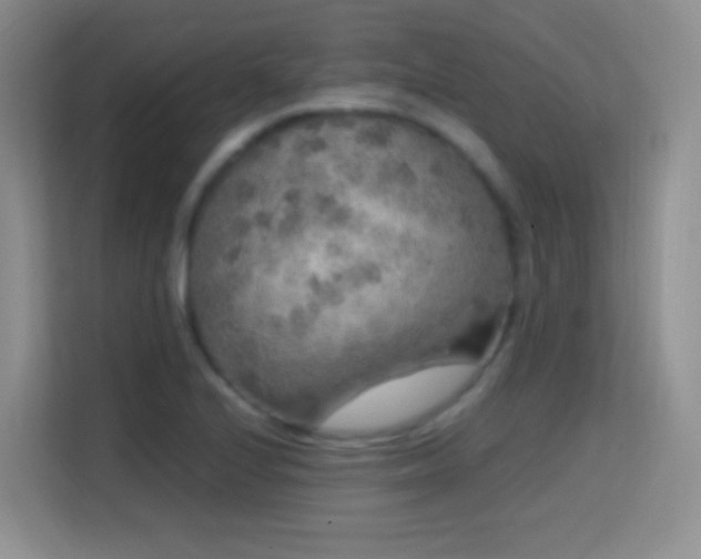 X0000114681224200910211204