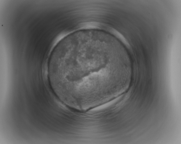X0000114681226200910211204