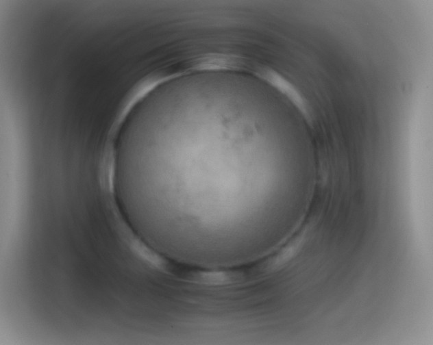 X0000114681227200910211204