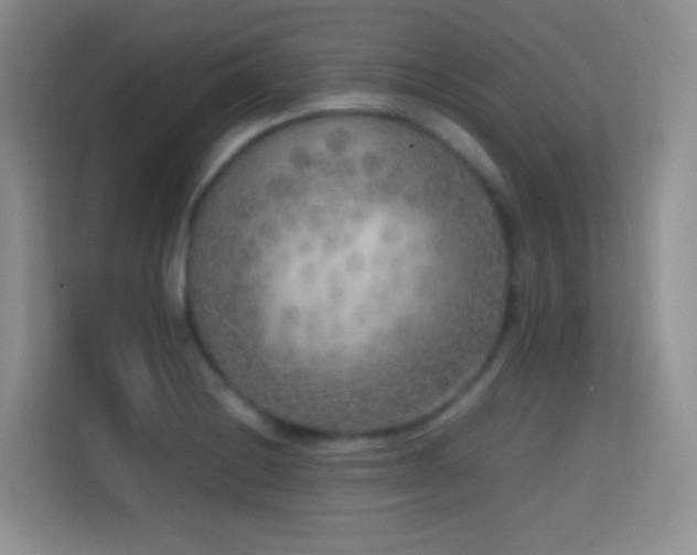 X0000114681228200910211204