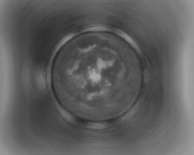 X0000114681229200910211204