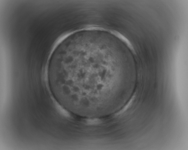 X0000114681231200910211204