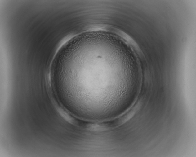 X0000114681234200910211204