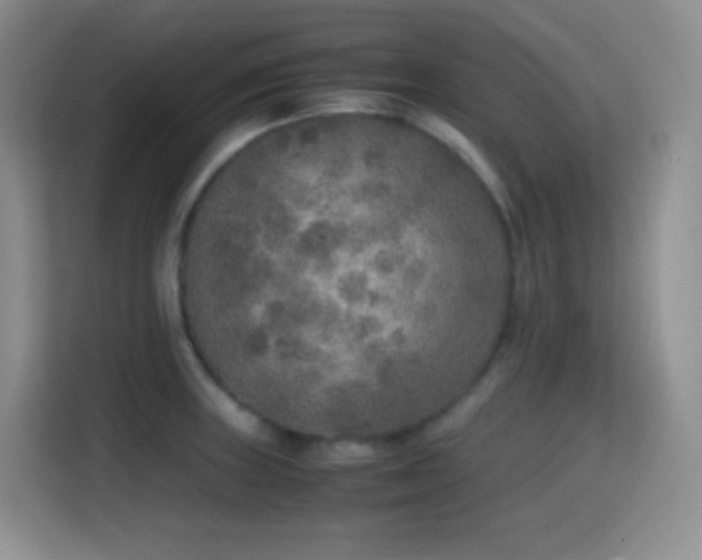 X0000114681235200910211204