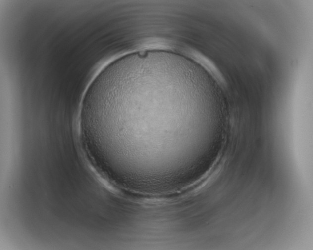 X0000114681236200910211204