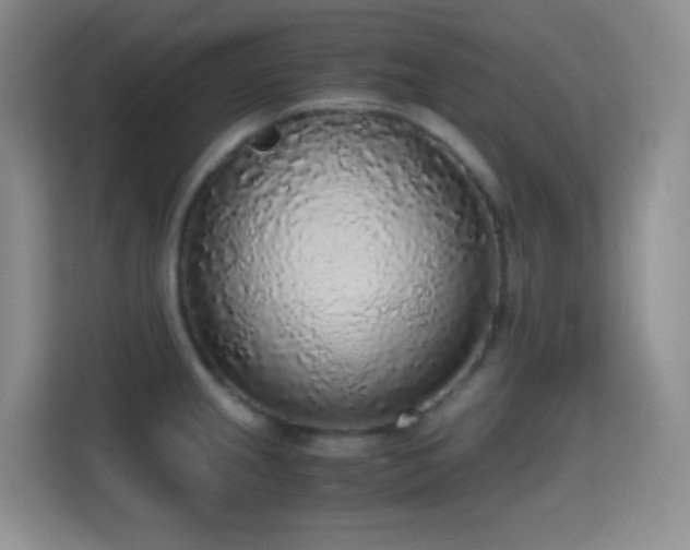 X0000114681237200910211204