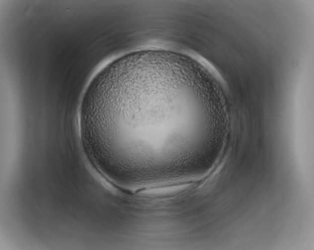 X0000114681238200910211204