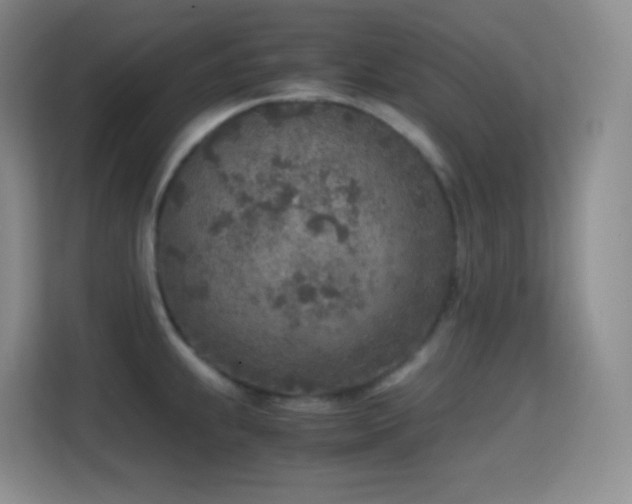 X0000114681239200910211204