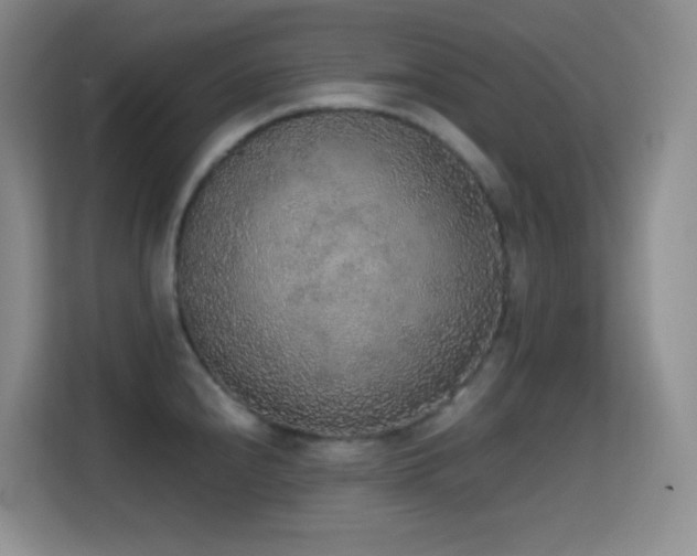 X0000114681240200910211204