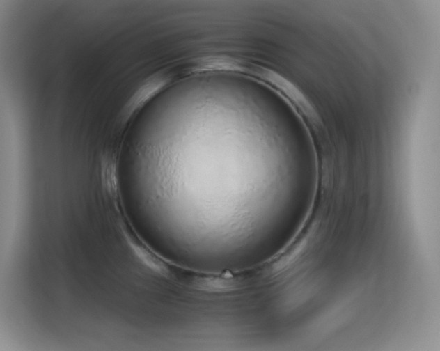 X0000114681241200910211204