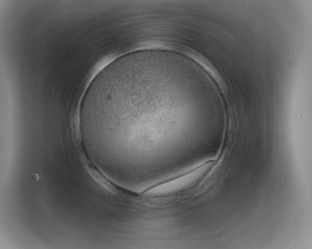 X0000114681242200910211204
