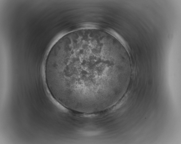 X0000114681243200910211204