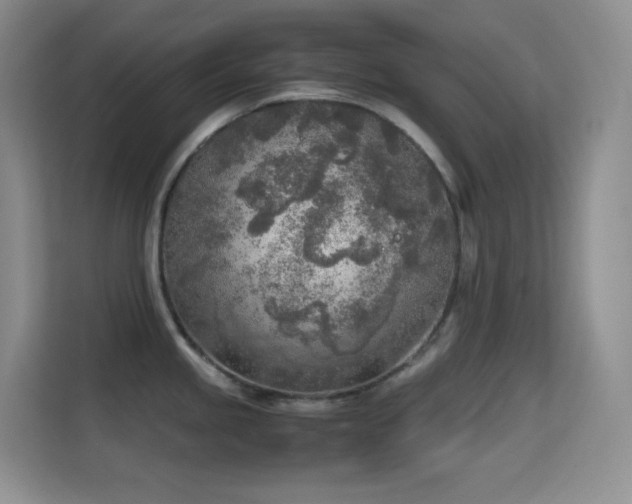 X0000114681245200910211204