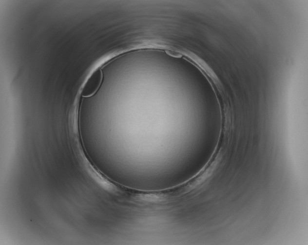 X0000114681246200910211204