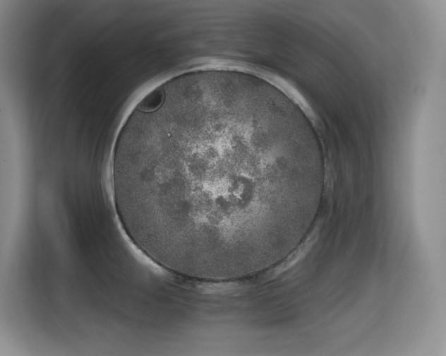 X0000114681247200910211204