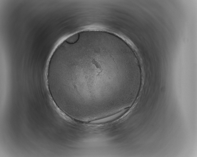 X0000114681248200910211204