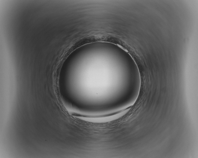 X0000114681249200910211203