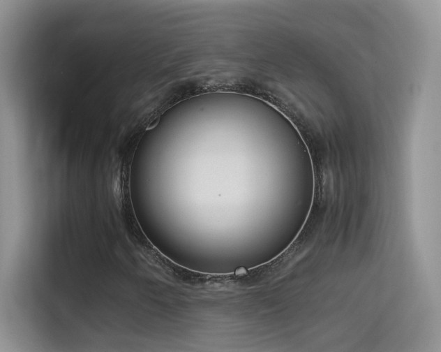 X0000114681250200910211203