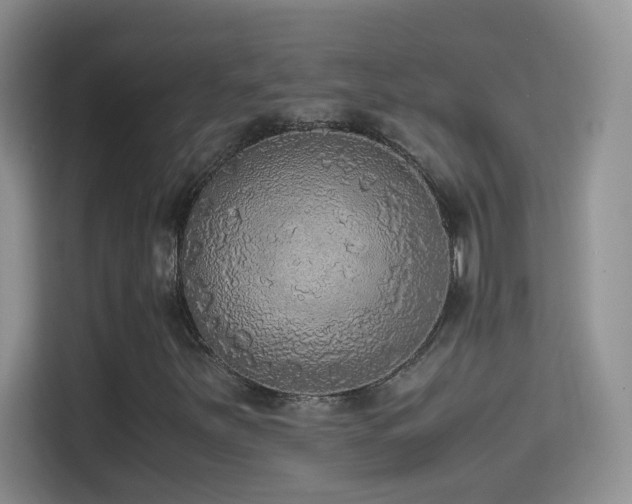 X0000114681251200910211203