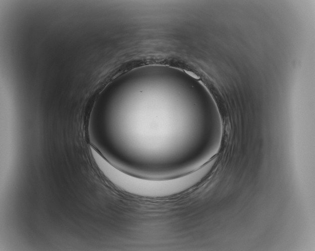 X0000114681252200910211203