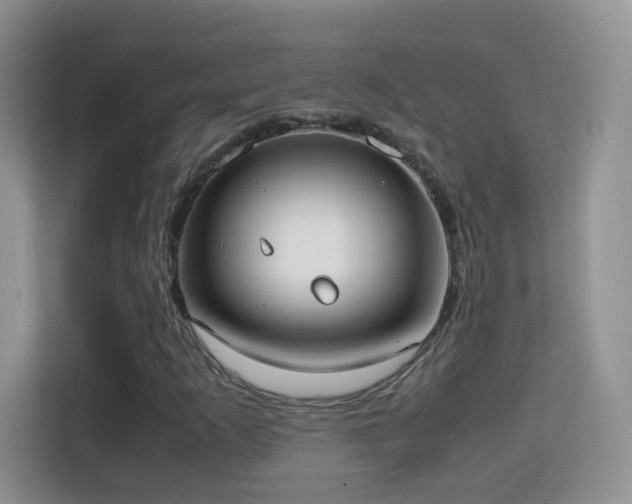 X0000114681253200910211203