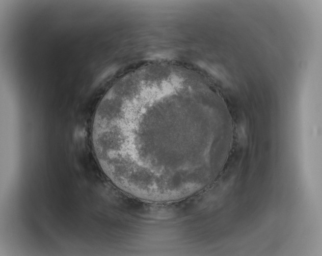 X0000114681254200910211203