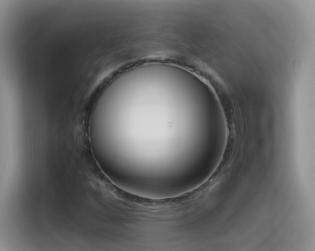 X0000114681256200910211203